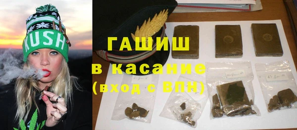 СК Ельня