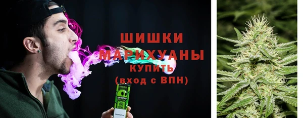 СК Ельня