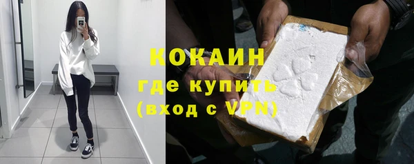 СК Ельня