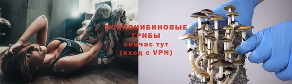 метадон Заволжье