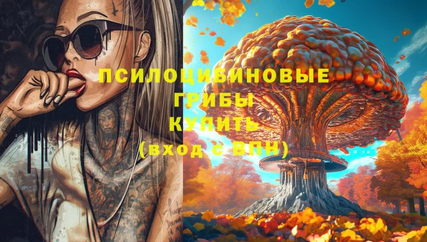 метадон Заволжье