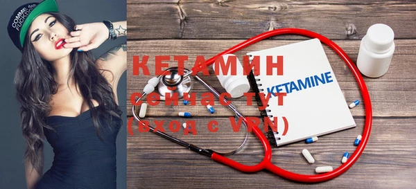 СК Ельня