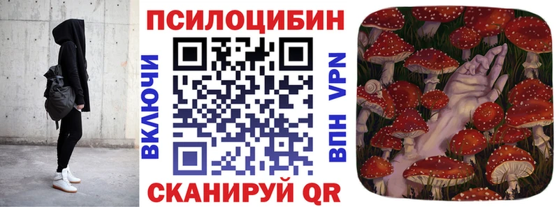 дарнет шоп  Нижний Тагил  Галлюциногенные грибы Psilocybine cubensis 